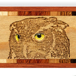 Owl Eyes Handmade Engraved with added Color Wooden Bookmark - Made in the USA