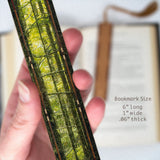 Olympic Evergreen Rainforest - Color Photograph by Mike DeCesare - Wooden Bookmark with Tassel