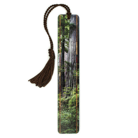 Redwoods - Old Growth at Redwood National Park, WA - Photograph Color Wooden Bookmark with Tassel