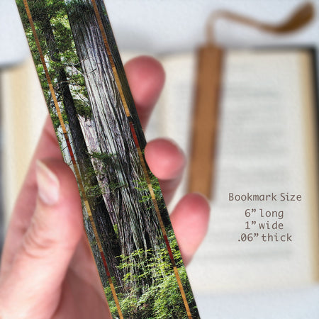 Redwoods - Old Growth at Redwood National Park, WA - Photograph Color Wooden Bookmark with Tassel